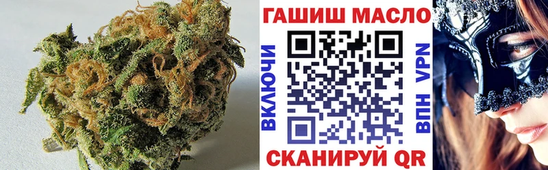 купить   Шадринск  ТГК концентрат 