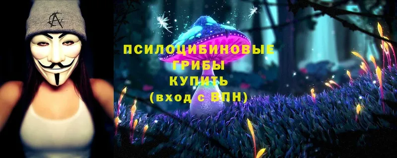 Галлюциногенные грибы Magic Shrooms  купить   ОМГ ОМГ маркетплейс  Шадринск 