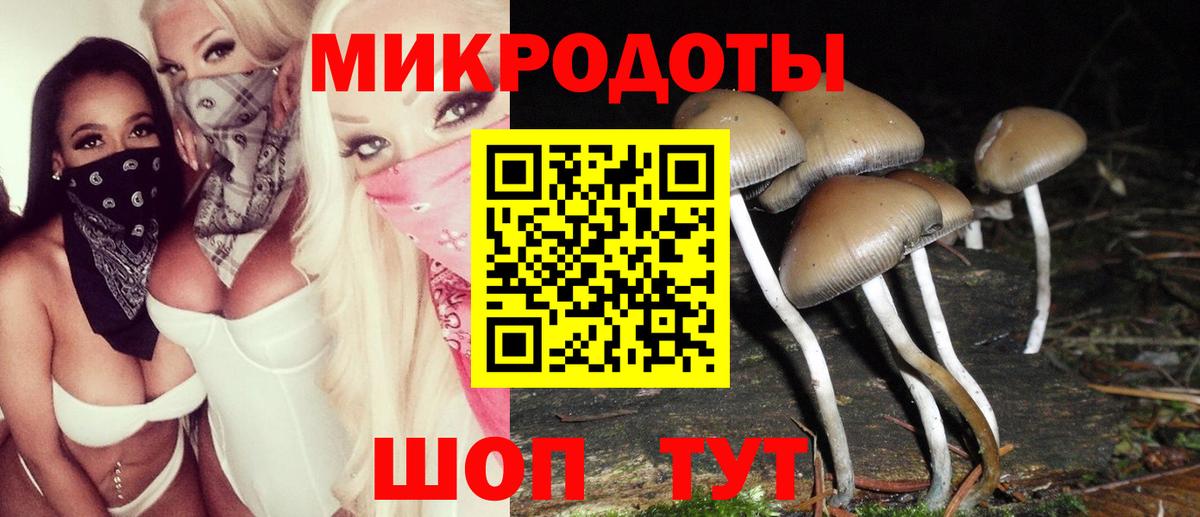 Шадринск  Псилоцибиновые грибы GOLDEN TEACHER  магазин  наркотиков  Вход с VPN 