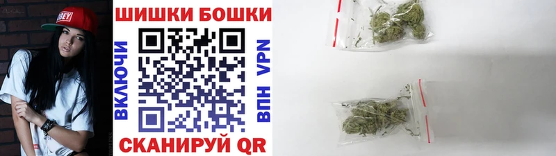 Бошки Шишки Amnesia  Шадринск 
